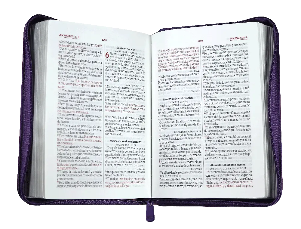 Biblia Reina Valera 1960 Chica Letra Mediana Imitación Piel Morado Flores QR [RVR046cZLM PJR].webp