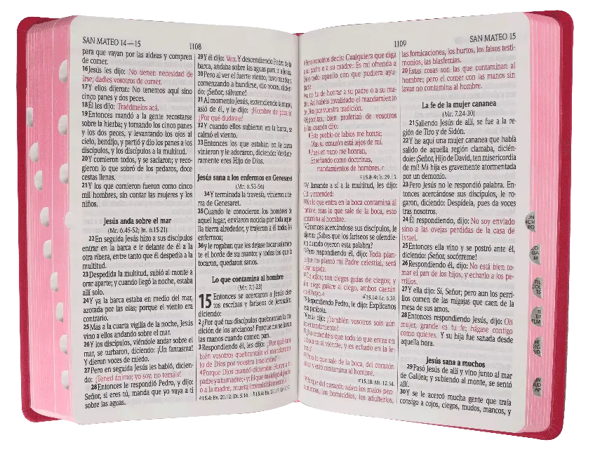 CONTENIDO (8).webp