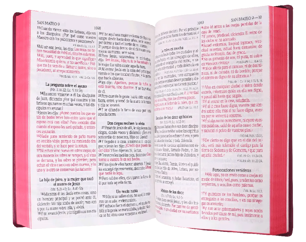 CONTENIDO (9).webp