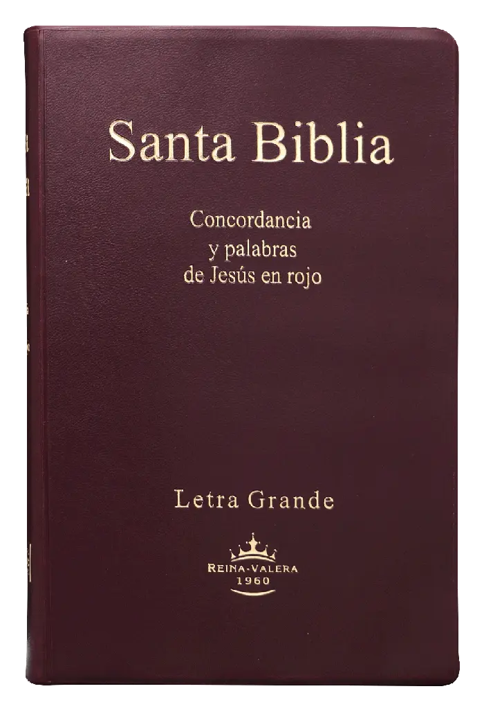PORTADA (9).webp