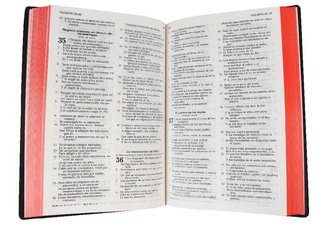 CONTENIDO (10).webp
