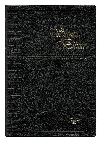 PORTADA (10).webp