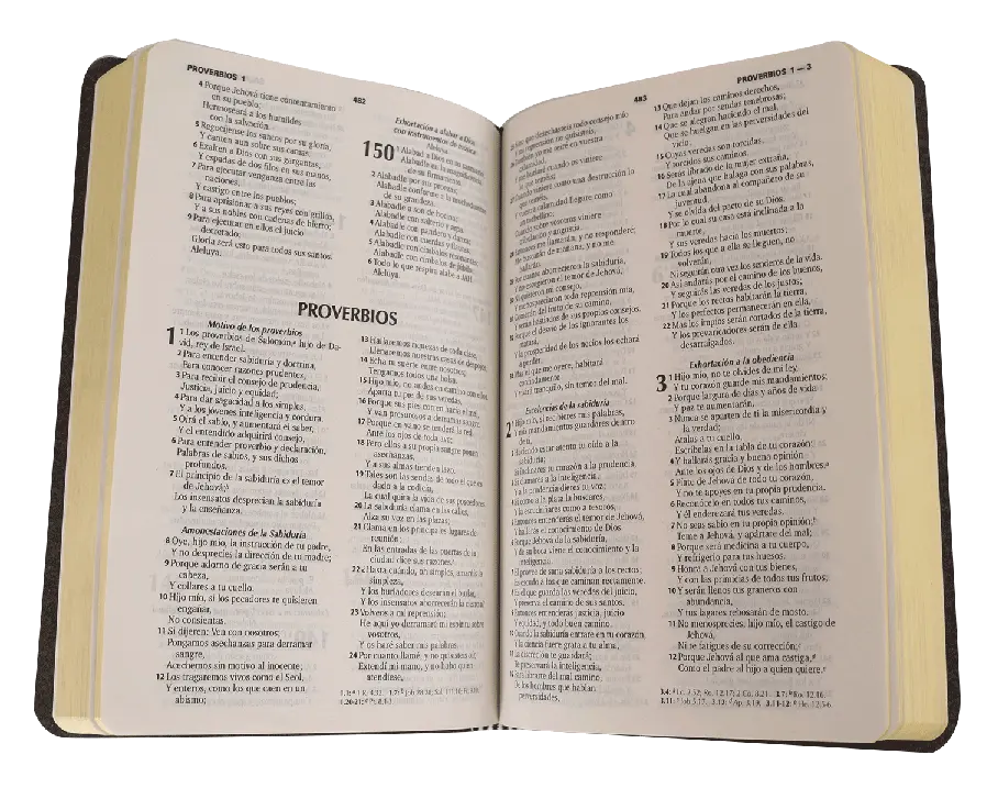 CONTENIDO (11).webp
