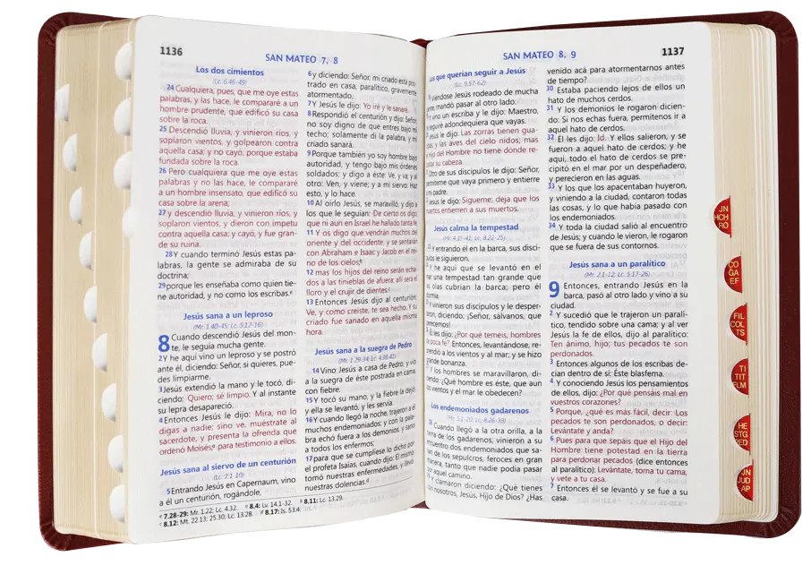 CONTENIDO (12).webp