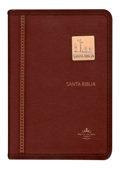 PORTADA (12).webp