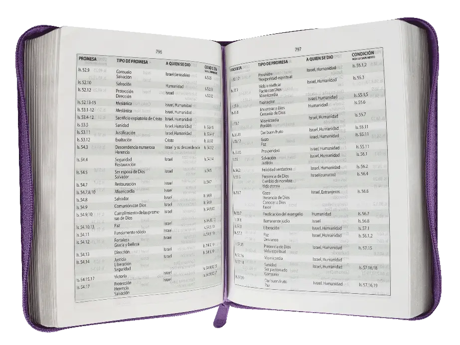 CONTENIDO (13).webp