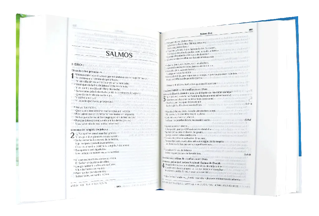 CONTENIDO (14).webp