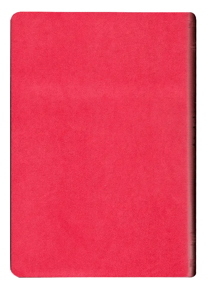 CONTRAPORTADA (13).webp