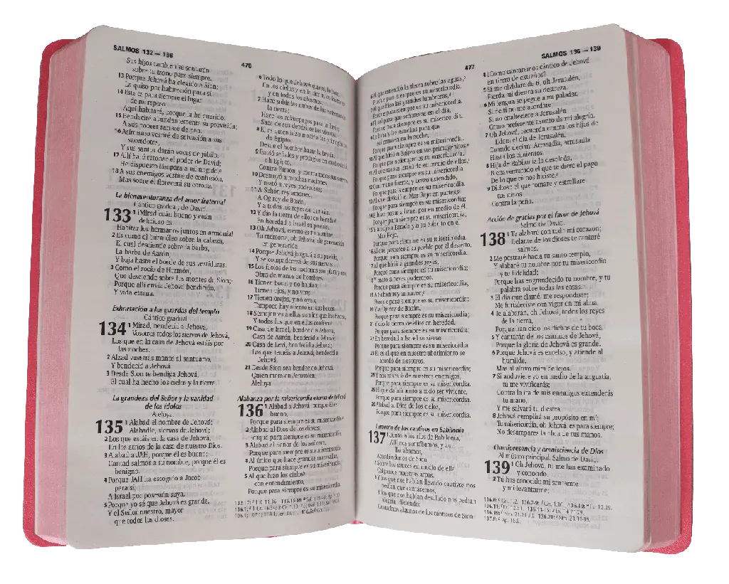 CONTENIDO (15).webp