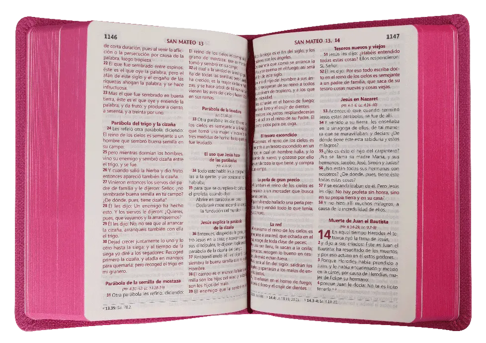 CONTENIDO (16).webp