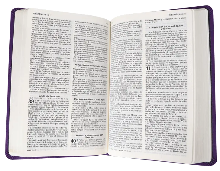 CONTENIDO (18).webp