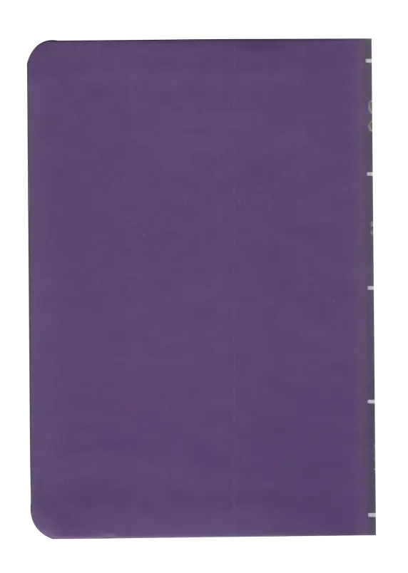 CONTRAPORTADA (16).webp