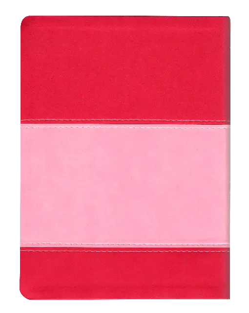 CONTRAPORTADA (18).webp