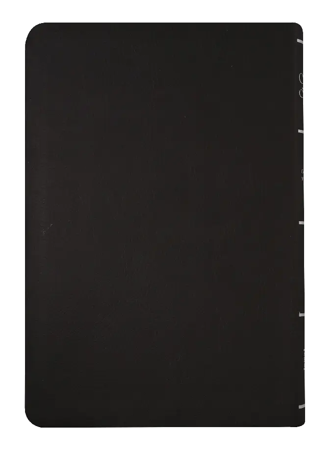 CONTRAPORTADA (20).webp