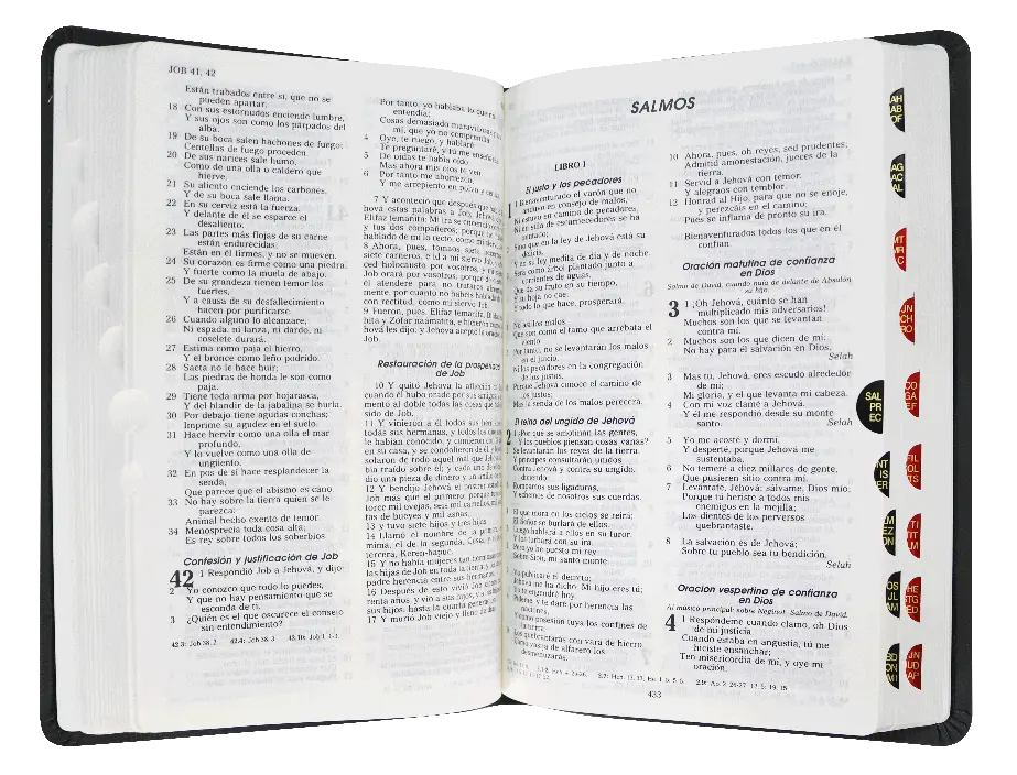 CONTENIDO (21).webp