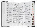 CONTENIDO (21).webp