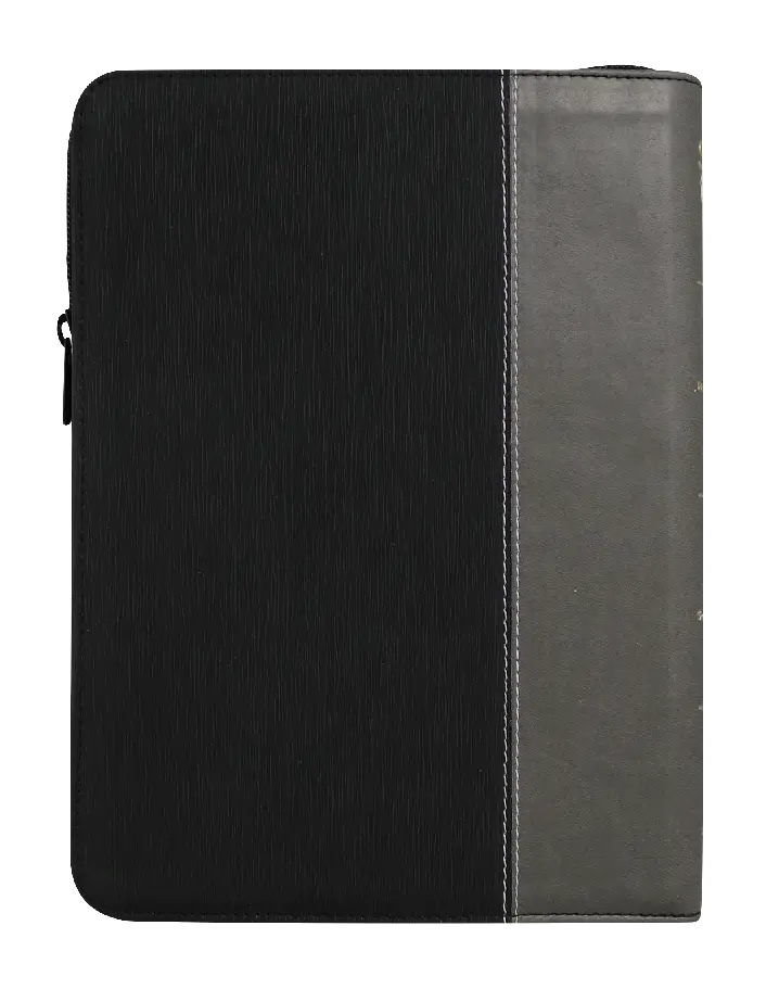 CONTRAPORTADA (21).webp