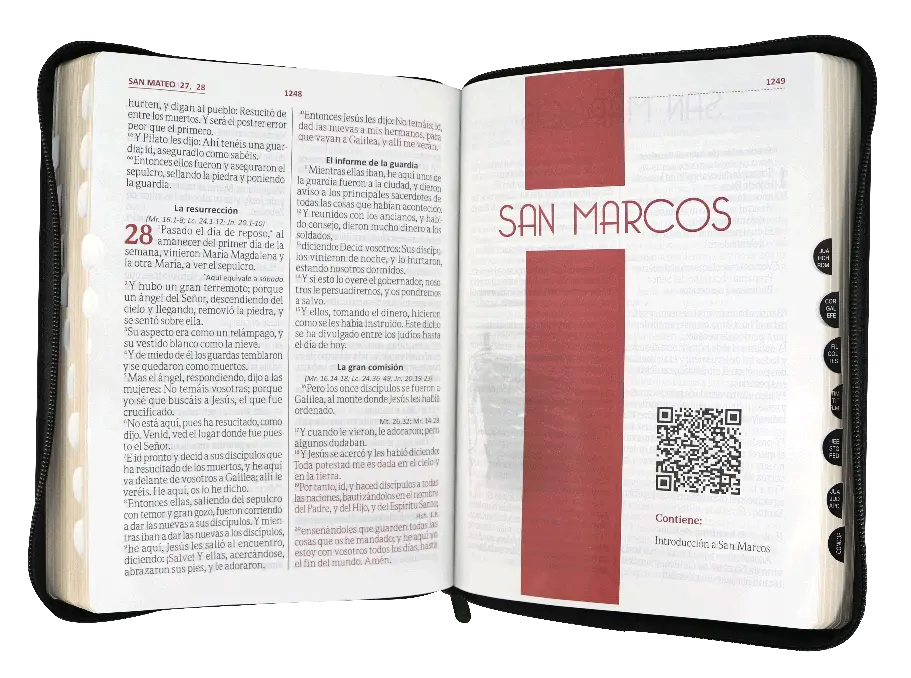 CONTENIDO (22).webp