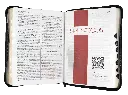 CONTENIDO (22).webp