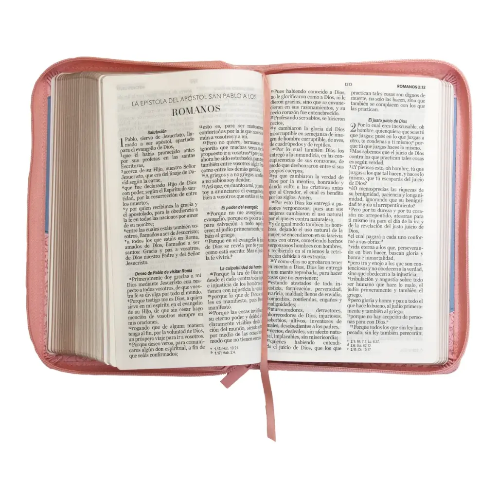 biblia-reina-valera-1960-tamano-manual-letra-grande-12-puntos-imitacion-piel-rosaazul-941.webp