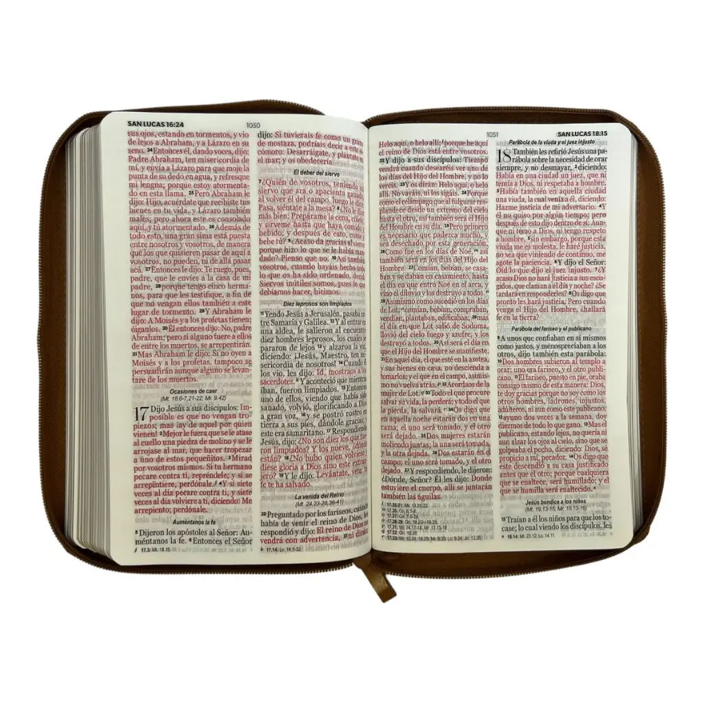 biblia-reina-valera-1960-tamano-manual-letra-grande-12-puntos-versiculos-seguidos-596.webp