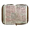 biblia-reina-valera-1960-tamano-manual-letra-grande-12-puntos-versiculos-seguidos-596.webp