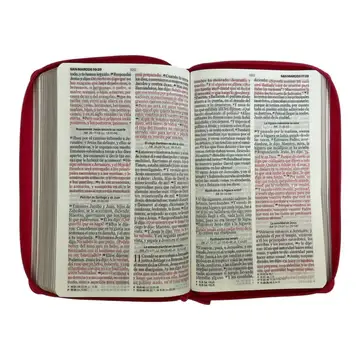 biblia-reina-valera-1960-tamano-manual-letra-grande-12-puntos-versiculos-seguidos-811.webp