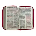 biblia-reina-valera-1960-tamano-manual-letra-grande-12-puntos-versiculos-seguidos-811.webp