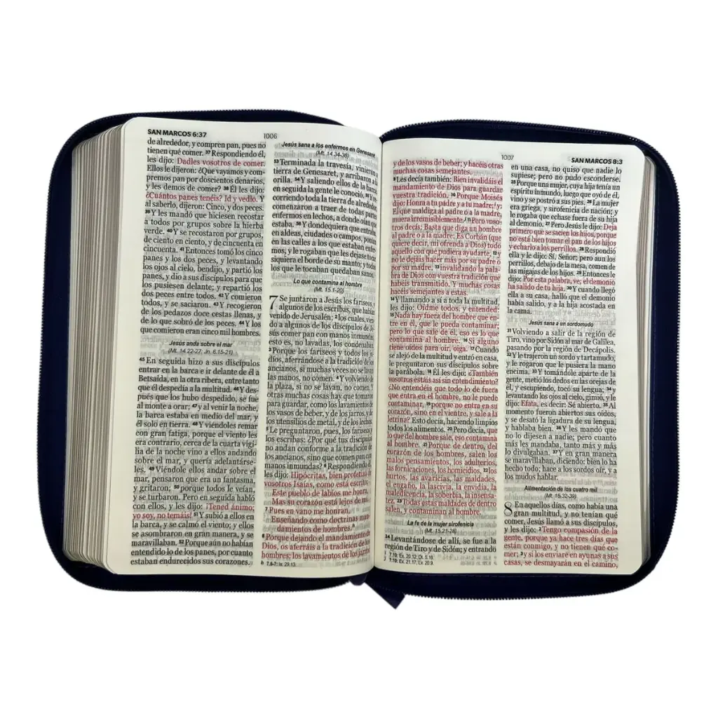 biblia-reina-valera-1960-tamano-manual-letra-grande-12-puntos-versiculos-seguidos-942.webp