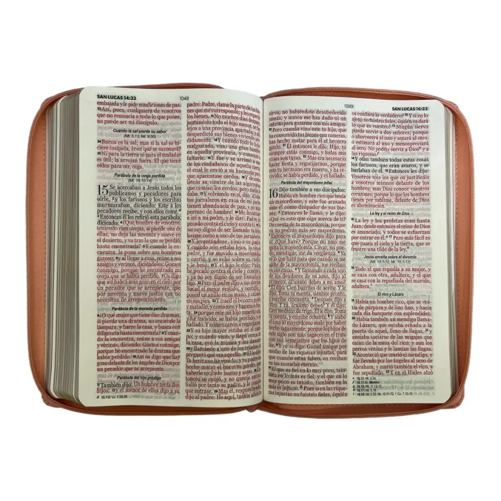 biblia-reina-valera-1960-tamano-manual-letra-grande-12-puntos-versiculos-seguidos-600.webp