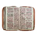 biblia-reina-valera-1960-tamano-manual-letra-grande-12-puntos-versiculos-seguidos-600.webp