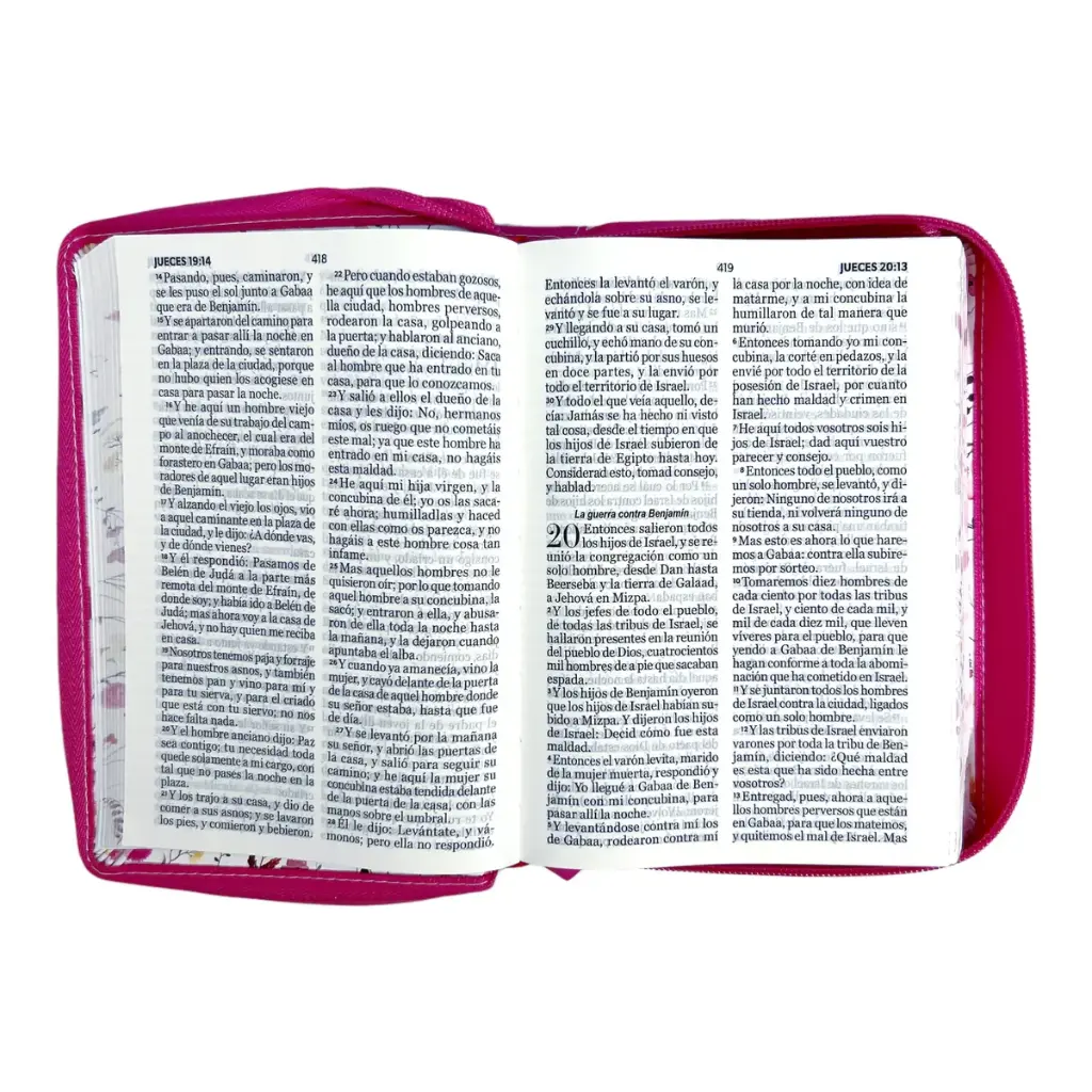biblia-reina-valera-1960-tamano-portatil-letra-grande-11-puntos-imitacion-piel-rosa-313.webp