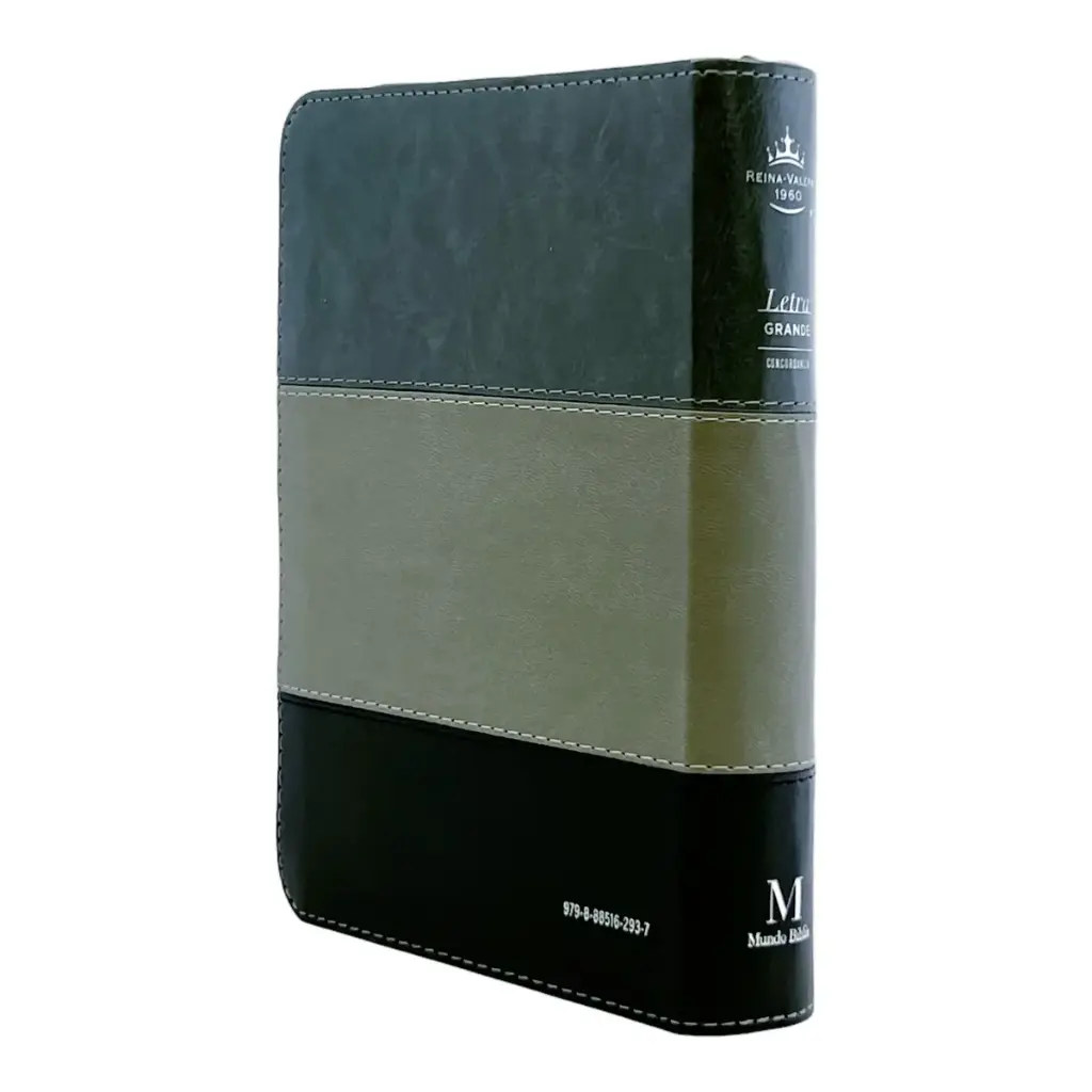biblia-reina-valera-1960-tamano-portatil-letra-grande-11-puntos-imitacion-piel-tricolor-441.webp