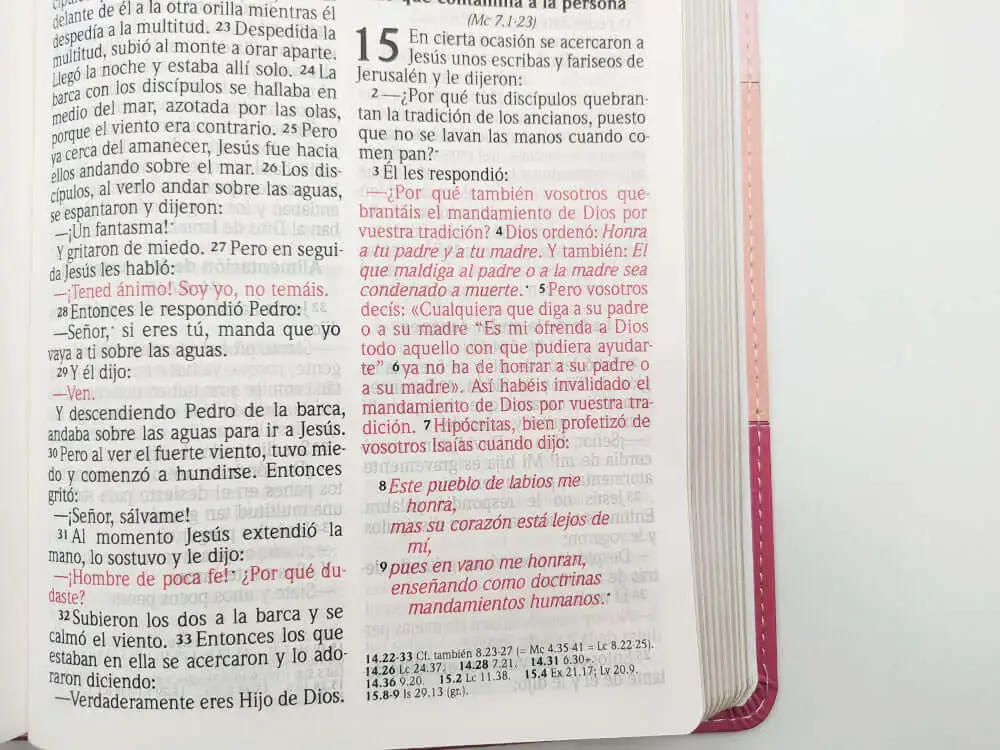 biblia-reina-valera-2020-tamano-manual-letra-grande-12-puntos-coleccion-tricolor-rosa-740.webp