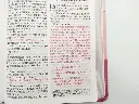 biblia-reina-valera-2020-tamano-manual-letra-grande-12-puntos-coleccion-tricolor-rosa-740.webp