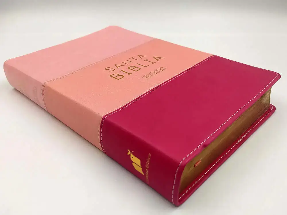 biblia-reina-valera-2020-tamano-manual-letra-grande-12-puntos-coleccion-tricolor-rosa-435.webp