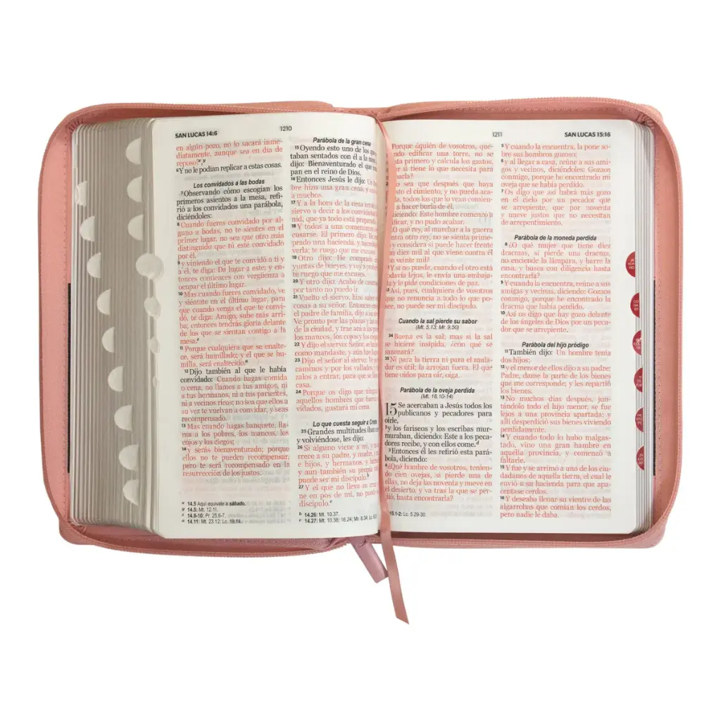 biblia-reina-valera-1960-tamano-manual-letra-grande-12-puntos-imitacion-piel-rosacafe-986.webp