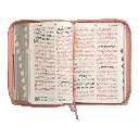 biblia-reina-valera-1960-tamano-manual-letra-grande-12-puntos-imitacion-piel-rosacafe-986.webp