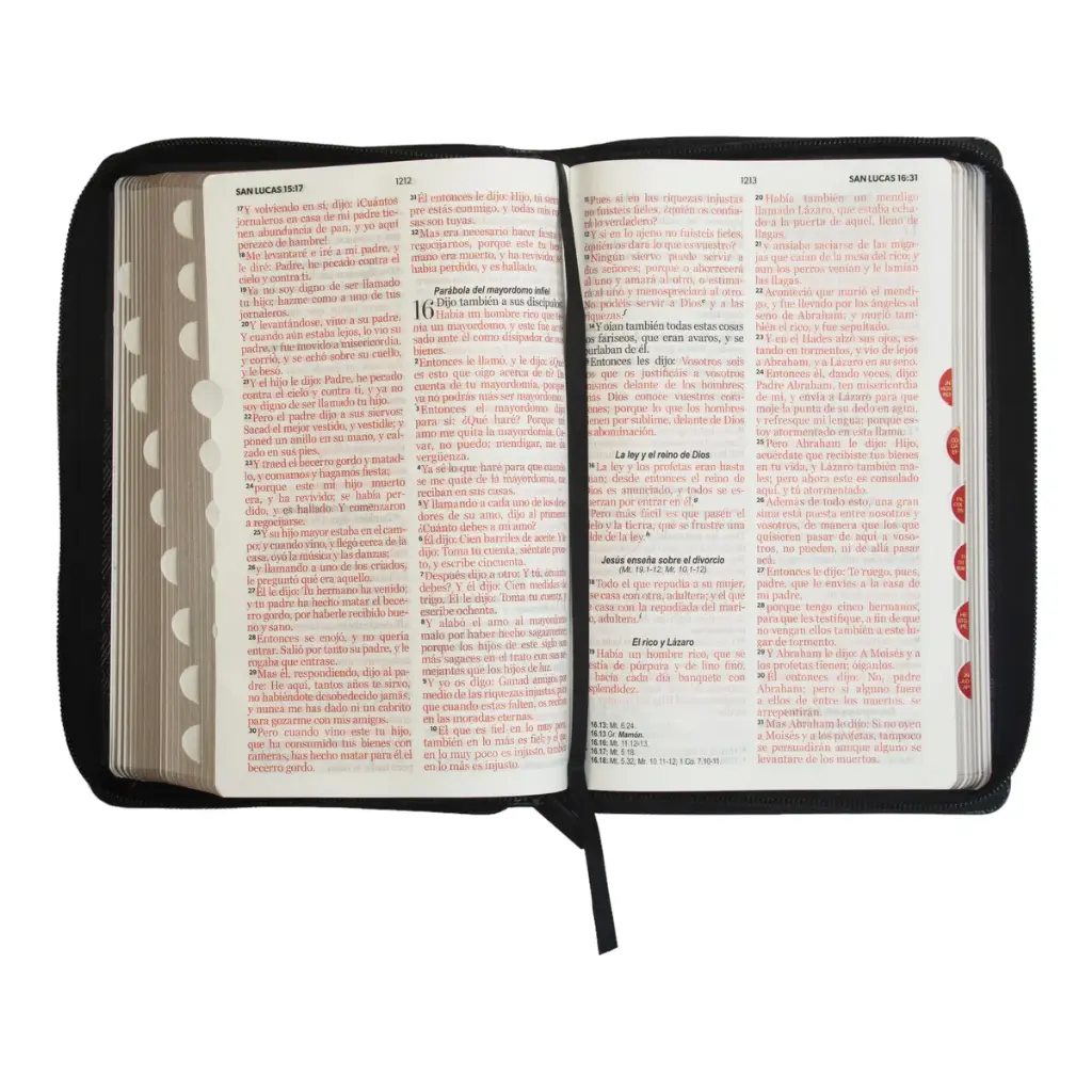 biblia-reina-valera-1960-tamano-manual-letra-grande-12-puntos-imitacion-piel-negronegro-547.webp