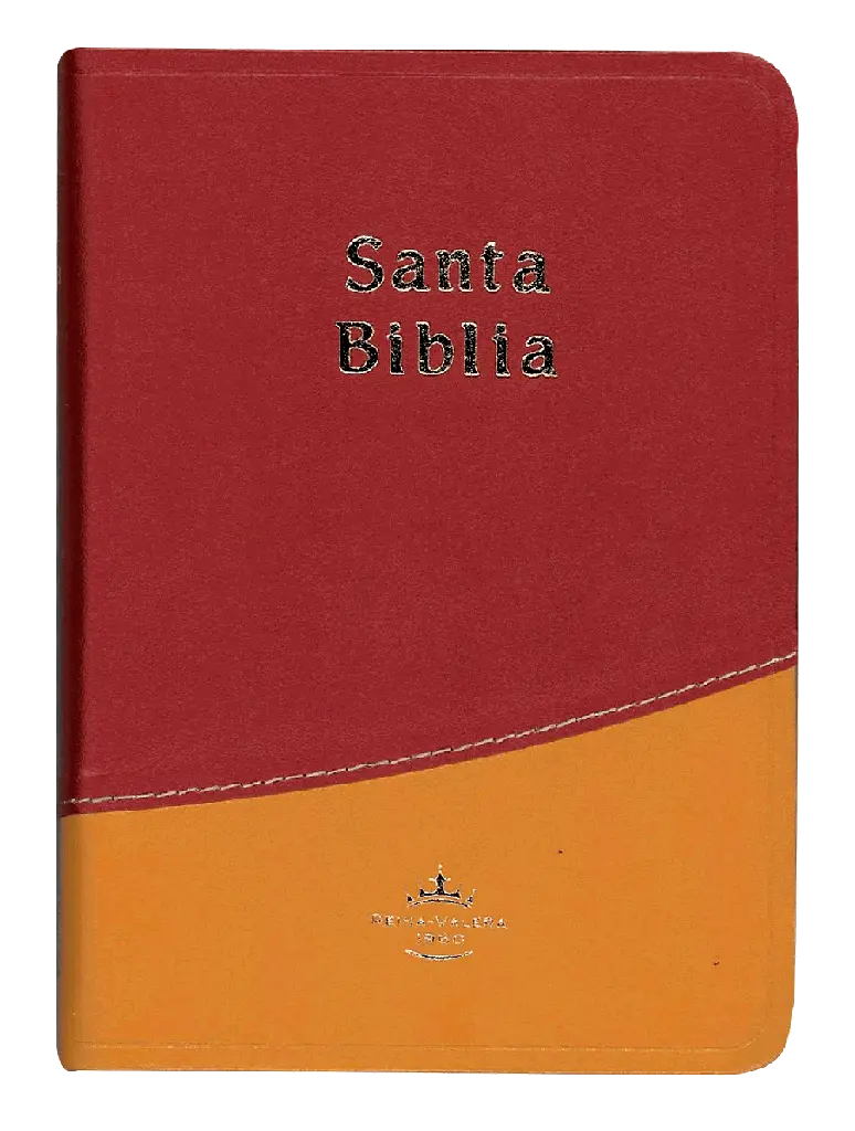 PORTADA (1).webp