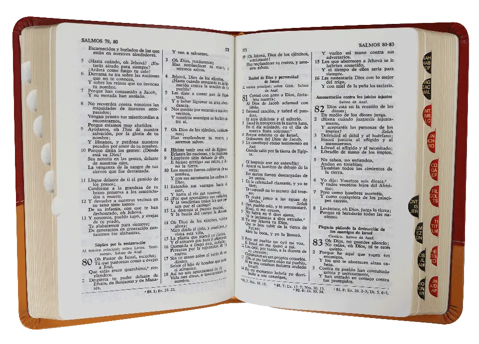 CONTENIDO (1).webp