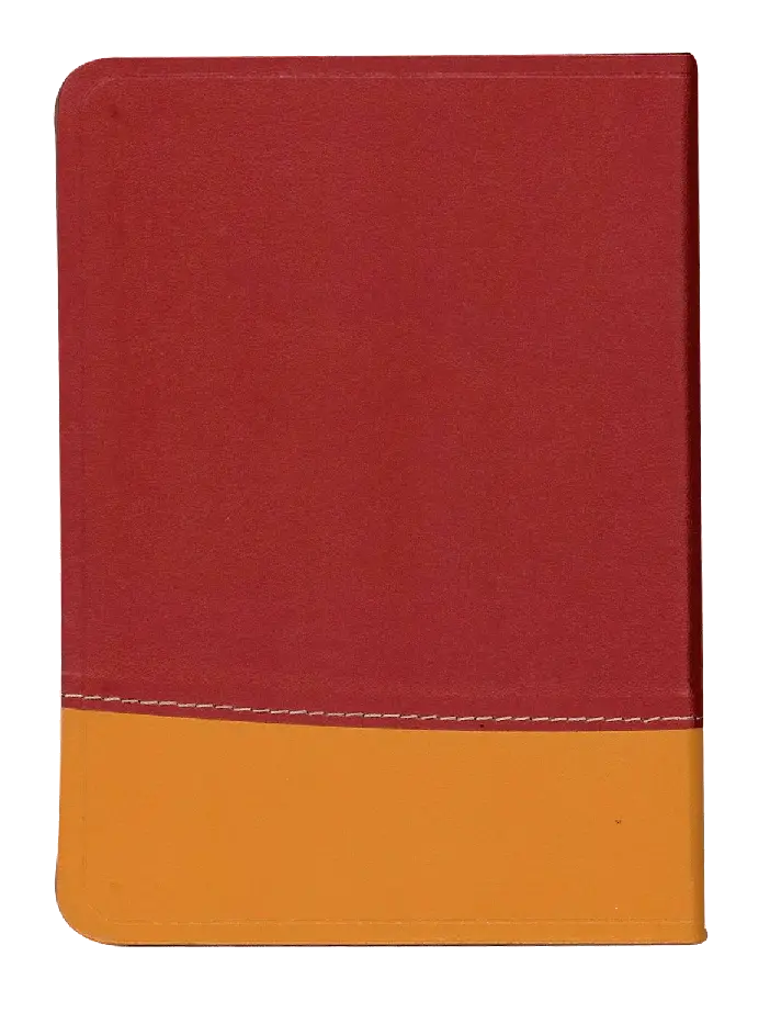 CONTRAPORTADA (1).webp