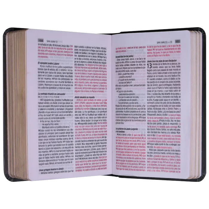 Biblia Reina Valera 1960 Mini Bolsillo Letra Chica Tapa Semiflexible Tapa 11[RVR.11ePJR-GPR_11].webp