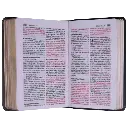 Biblia Reina Valera 1960 Mini Bolsillo Letra Chica Tapa Semiflexible Tapa 11[RVR.11ePJR-GPR_11].webp