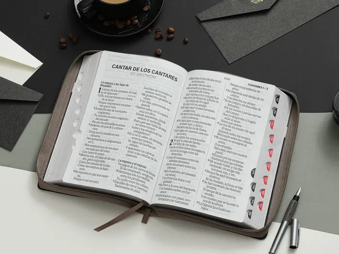 biblia-rvr60-088czti-lsgi-tech-dot-negro-cafe-beige-biblias-623.webp