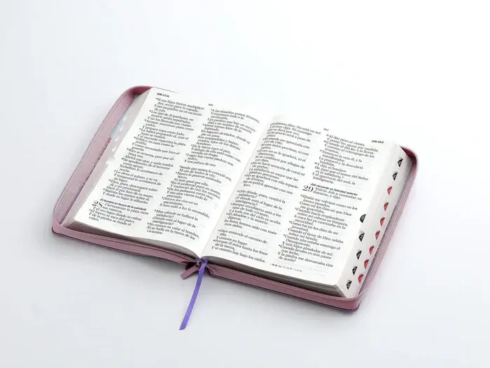 rvr60-095czti-lspg-pjr-tricolor-azul-rosa-lila-biblias-844.webp