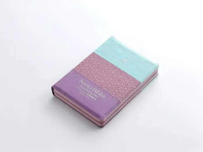 rvr60-095czti-lspg-pjr-tricolor-azul-rosa-lila-biblias-616.webp