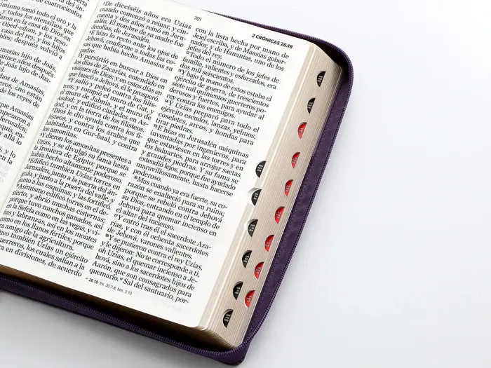 rvr60-095czti-lspg-pjr-tricolor-lila-morado-negro-biblias-968.webp