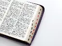 rvr60-095czti-lspg-pjr-tricolor-lila-morado-negro-biblias-968.webp