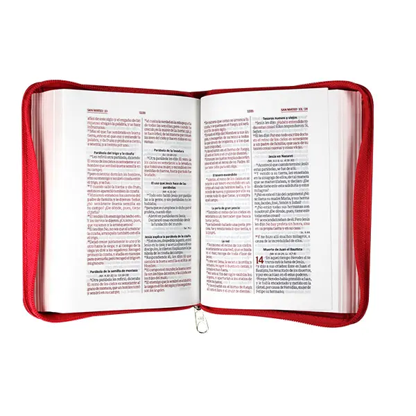 Biblia Reina Valera 1960 Chica Letra Chica Imitación piel Rosa Código QR [RVR046cZLMPJR].webp